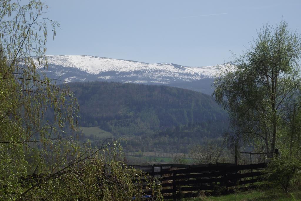Domek Na Wzgorzu Wojcieszyce Buitenkant foto